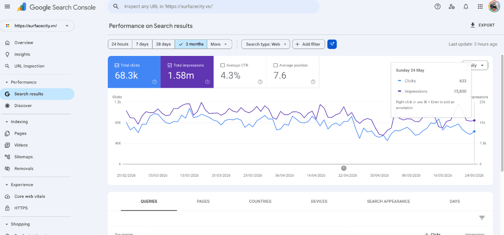 Surface City Search Console Proof