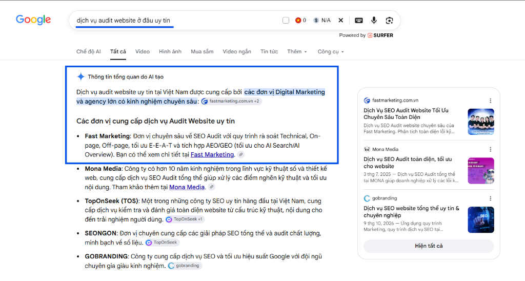 Google AI Overview trích dẫn Fast Marketing cho truy vấn dài và cụ thể về dịch vụ audit website