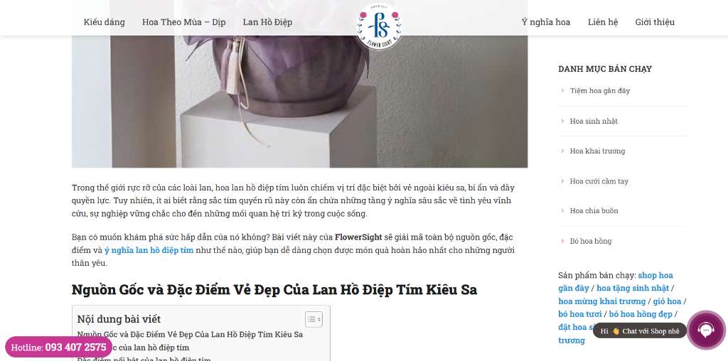 Tối ưu bài viết On-page chuẩn E-E-A-T kết hợp liên kết nội bộ Internal Link và Schema