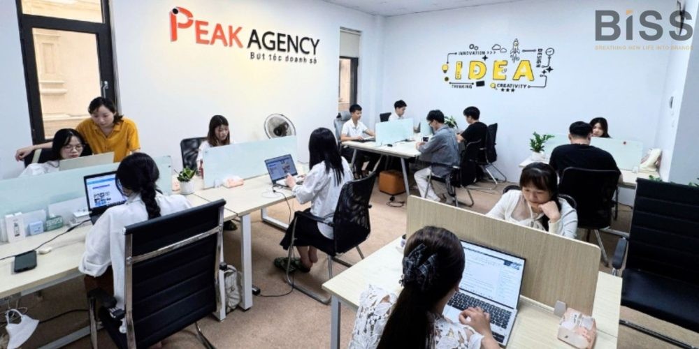 Phòng Marketing thuê ngoài Hà Nội - Peak Agency